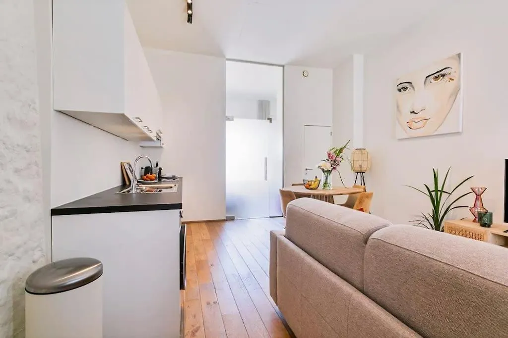 Wonderful Apartment In The Center Of Antwerp